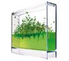 ANTQUARIUM Plantarium + Fun Mechanics Kit - Amphibian Rover