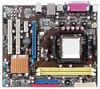 ASUS M2N68-AM PLUS - Socket AM2+ - Chipset GeForce 7025 - Micro ATX + Prozessor Sempron 140 - 2,7 GHz, L2-Cache 1 MB, Socket AM3 (Box) + PC-Speichermodul 2 GB DDR2-800 PC2-6400 + CPU-Kühler Hyper TX3 + Wärmepaste Artic Silber 5 - Spritze 3,5 g