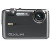 CASIO Exilim EX-FS10 anthrazit