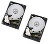 PIXMANIA Festplatte - 2 x 1 TB - 7200 RPM - 16 MB - SATA II