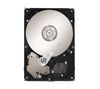 SEAGATE Festplatte SV35.5 Series - 500 GB - 7200 rpm - 16 MB - SATA-300