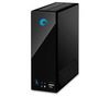 SEAGATE NAS-System BlackArmor NAS 110 - 1 TB (ST310005MND10G-RK)