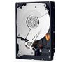 WESTERN DIGITAL Festplatte 8,9 cm ( 3,5