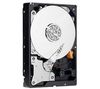 WESTERN DIGITAL Festplatte Caviar Green 500 GB - 32 MB - SATA (WD5000AADS) + SATA II UV Kabel blau - 60 cm (SATA2-60-BLUVV2)